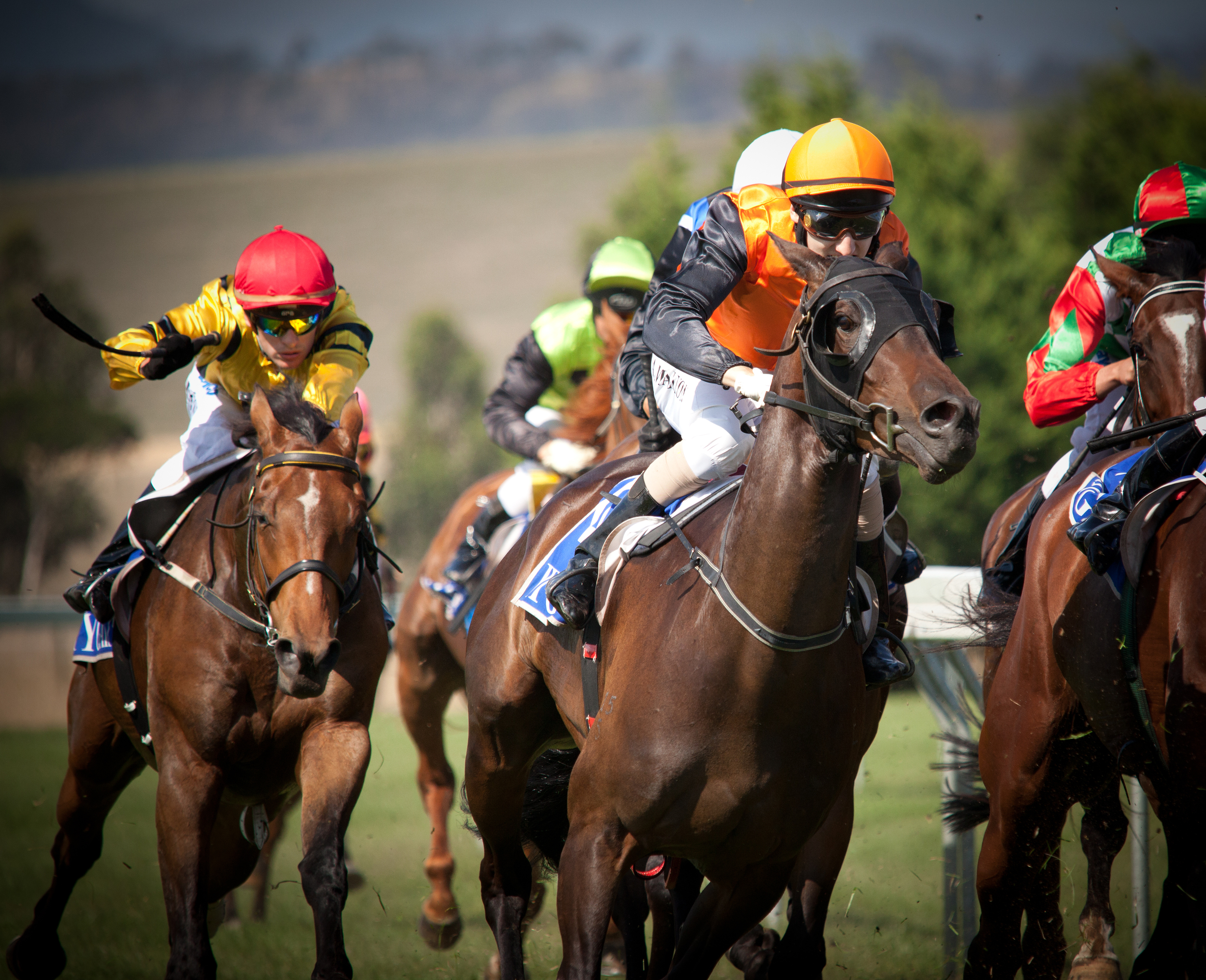 Diamoci all’ippica: tutto quello che c’è da sapere sulla Melbourne Cup!